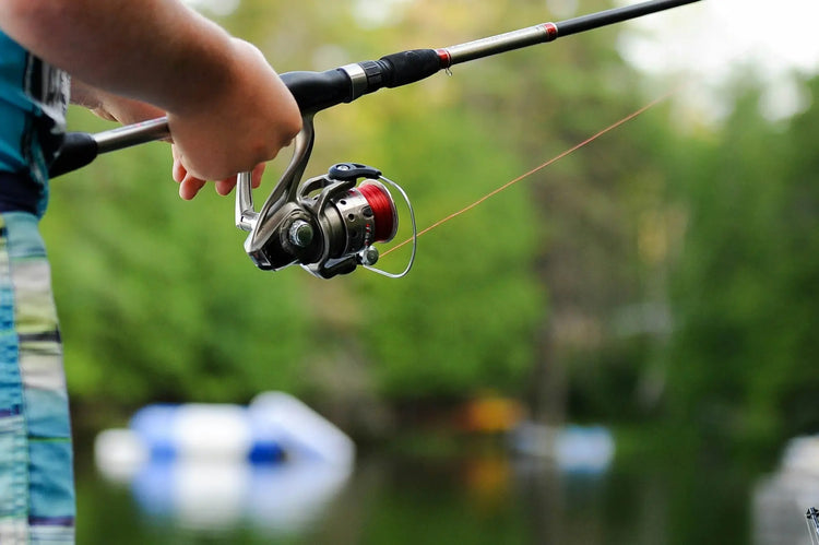 Spinning reel on a fishing rod in a collection of Fishing gear and accessories