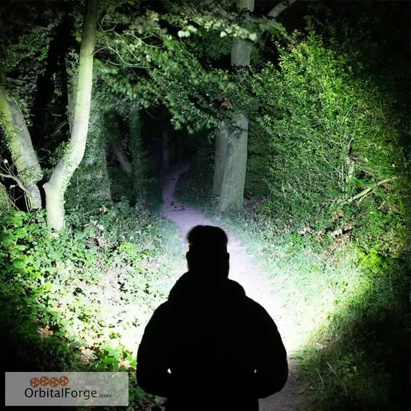 A silhouetted person shining a flashlight onto a dark forest path.