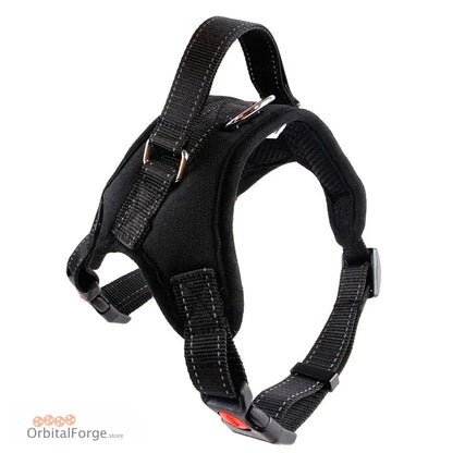 Black adjustable dog harness with nylon straps and buckles.