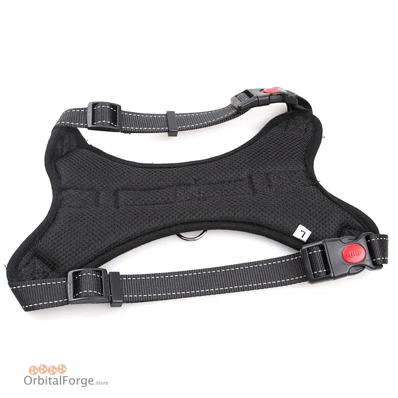 Black mesh dog harness with adjustable straps and buckle closures.