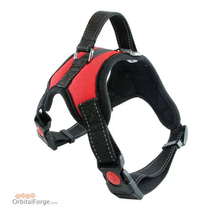 Red and black adjustable dog harness with buckle closures.