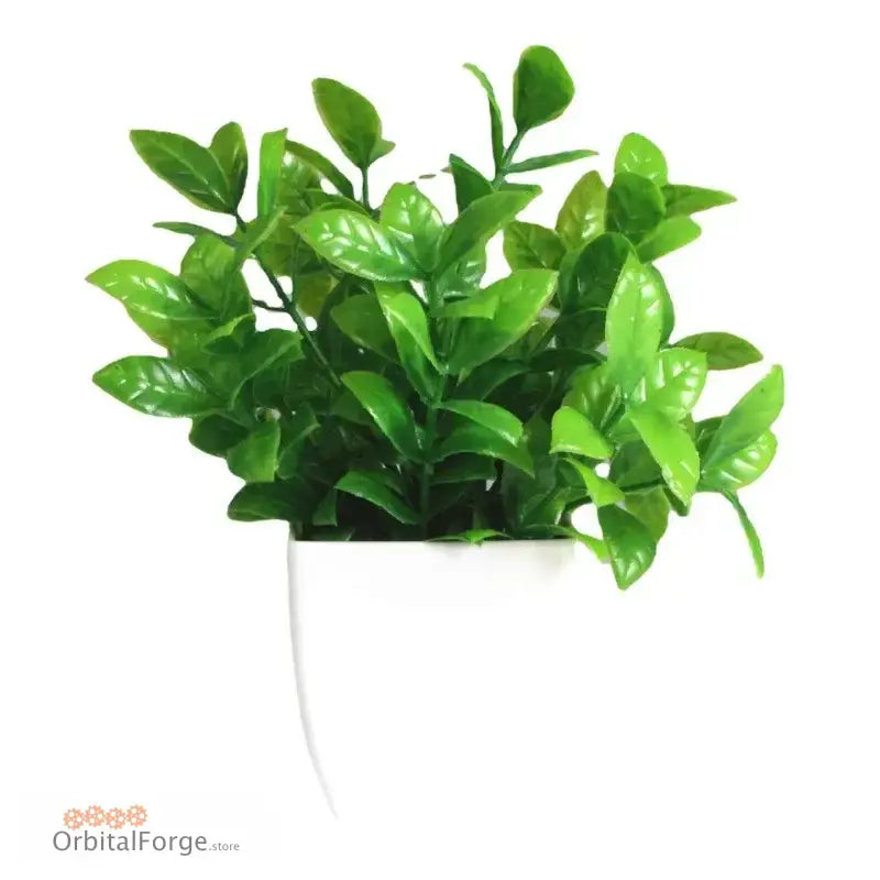 Green leafy plant with glossy foliage in a white pot.