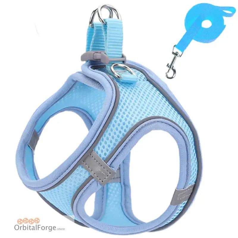 Blue Reflective & Breathable Dog Harness Leash Set - Adjustable Comfort for Puppy Outdoor Travel All Seasons - Blue