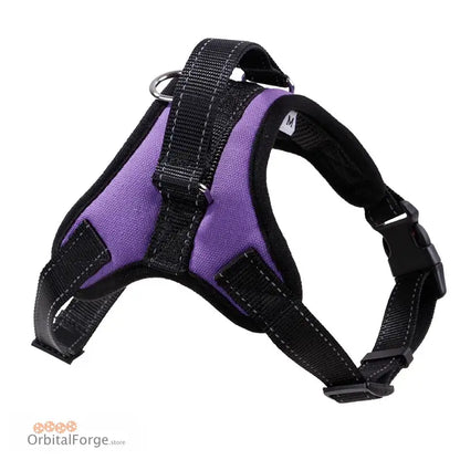 Purple and black adjustable dog harness with padded straps and metal buckles.