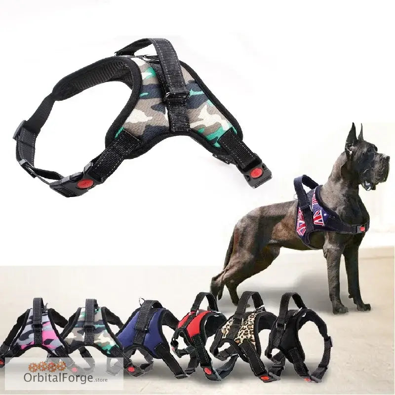 Dog harnesses in various colors and patterns with adjustable straps and buckles.