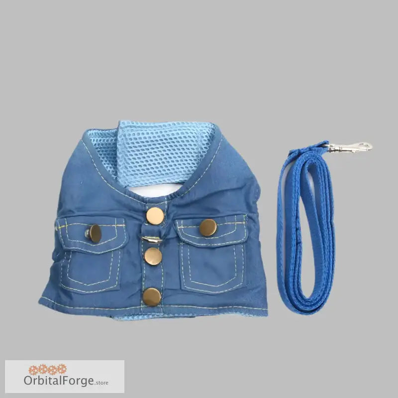 Blue denim harness and leash set with adjustable chest strap and brass buttons for pets