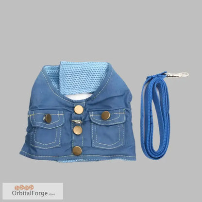 Blue denim harness and leash set with adjustable chest strap and brass buttons for pets