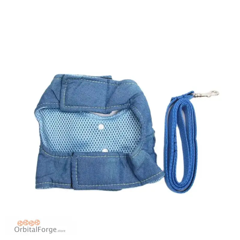 Blue mesh pet harness with matching leash.