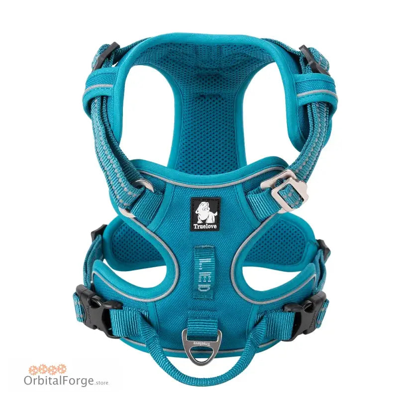 DogDog No Pull Dog Harness - Multiple Colours Reflective Nylon Adjustable Step-In Comfort for All Seasons - BLUE / XS