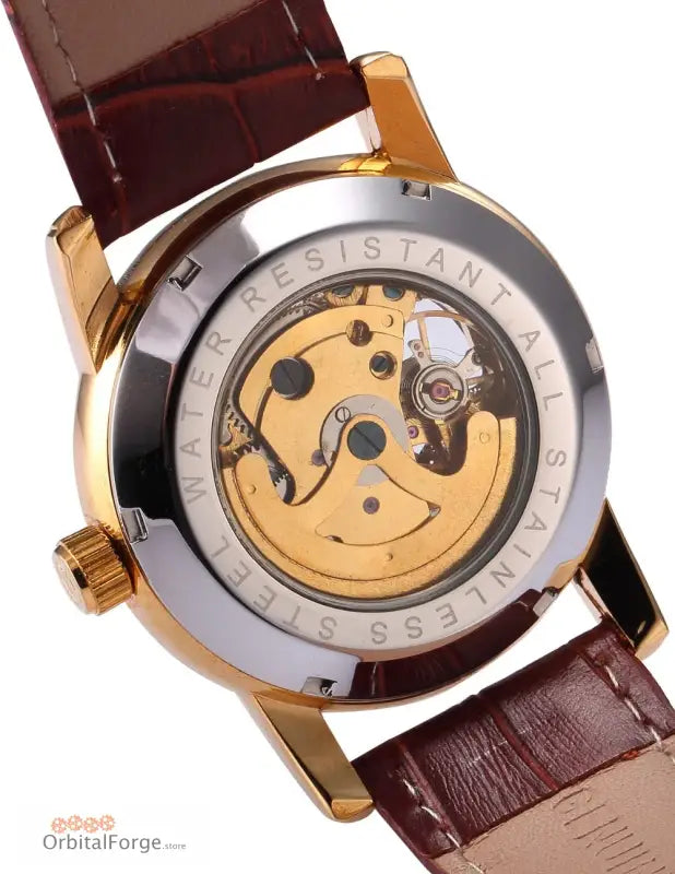 Back view of Elegant Skeleton Watch showcasing 40mm polished case and mechanical movement