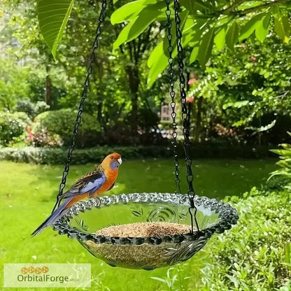 Crystal glass bird feeder with decorative beaded rim holding seeds and visited by a colorful parrot.