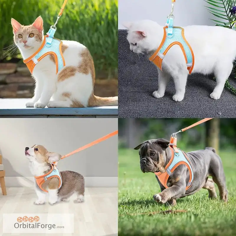 Orange Blend Reflective & Breathable Dog Harness Leash Set - Adjustable Comfort for Puppy Outdoor Travel All Seasons