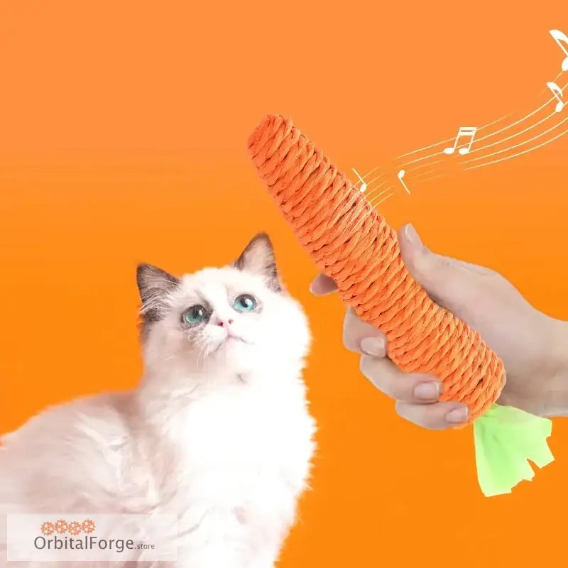 Orange carrot cat toy.