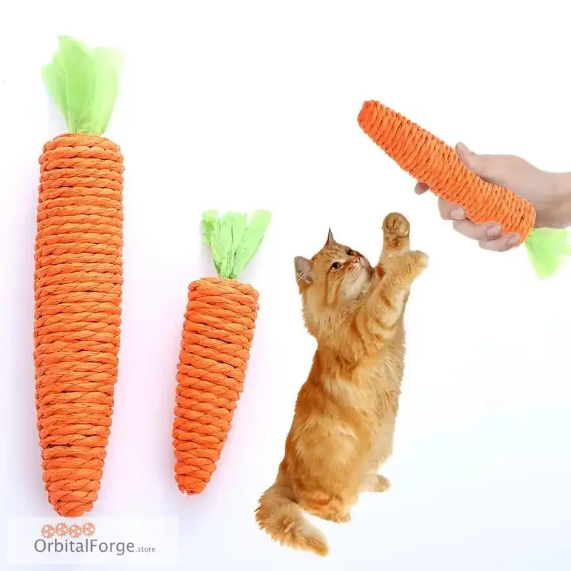 Orange carrot cat toys.