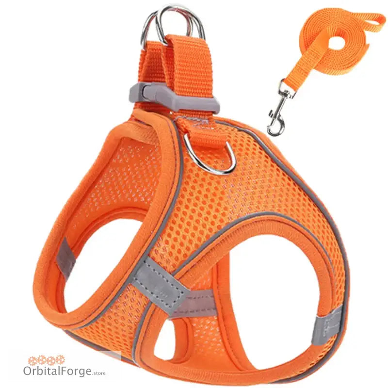 Orange Reflective & Breathable Dog Harness Leash Set - Adjustable Comfort for Puppy Outdoor Travel All Seasons - Orange