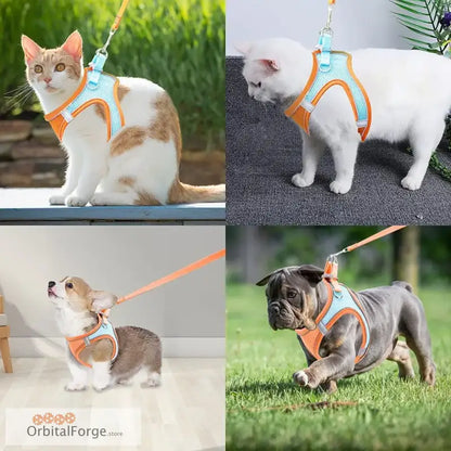 Orange Reflective & Breathable Dog Harness Leash Set - Adjustable Comfort for Puppy Outdoor Travel All Seasons