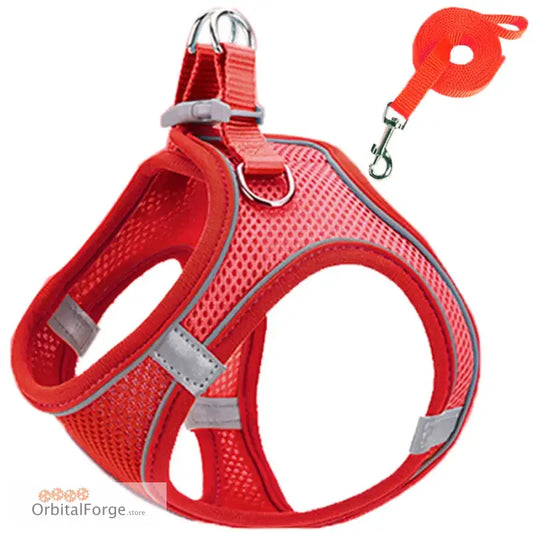 Red Reflective & Breathable Dog Harness Leash Set - Adjustable Comfort for Puppy Outdoor Travel All Seasons - Red