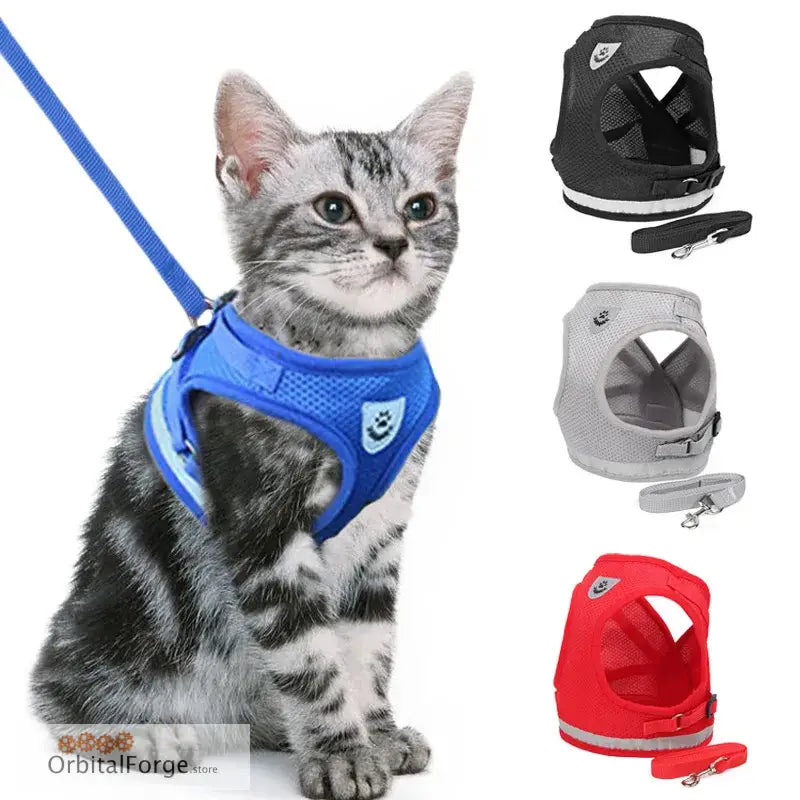 Cat harness with matching leash available in blue, black, gray and red colors.