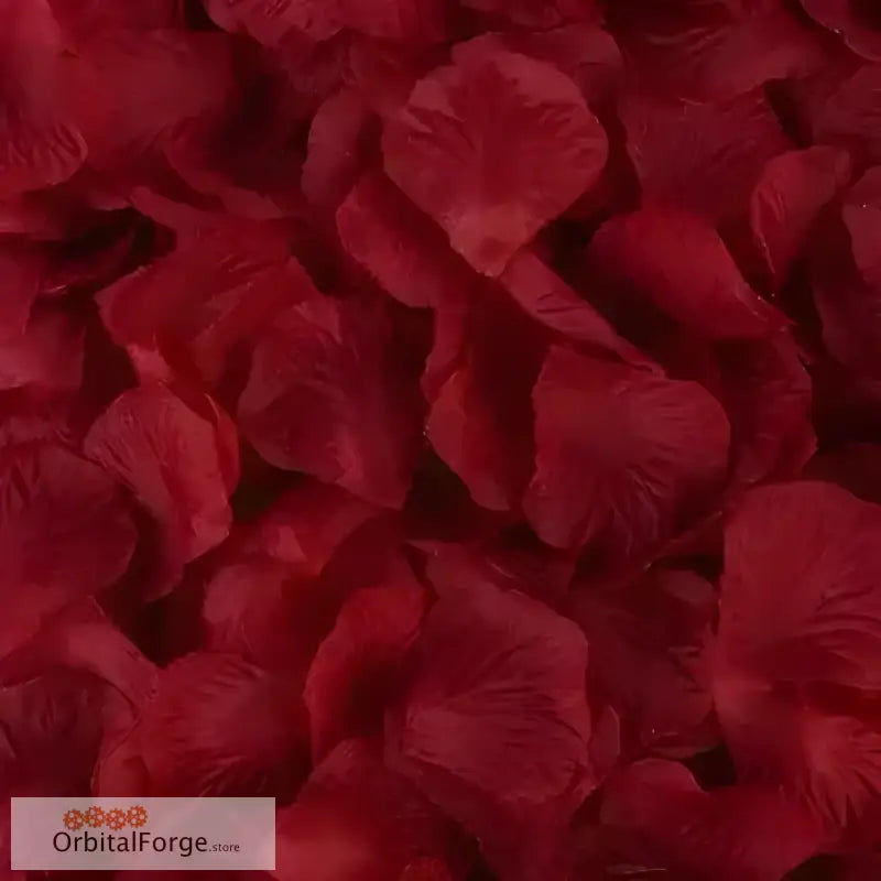 Deep red rose petals with delicate ruffled edges.