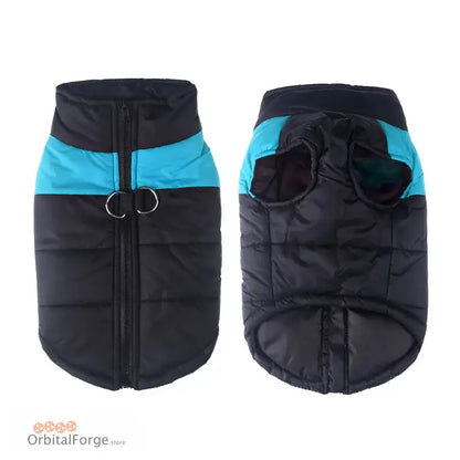 Black and turquoise padded winter vest for dogs with a zipper closure.